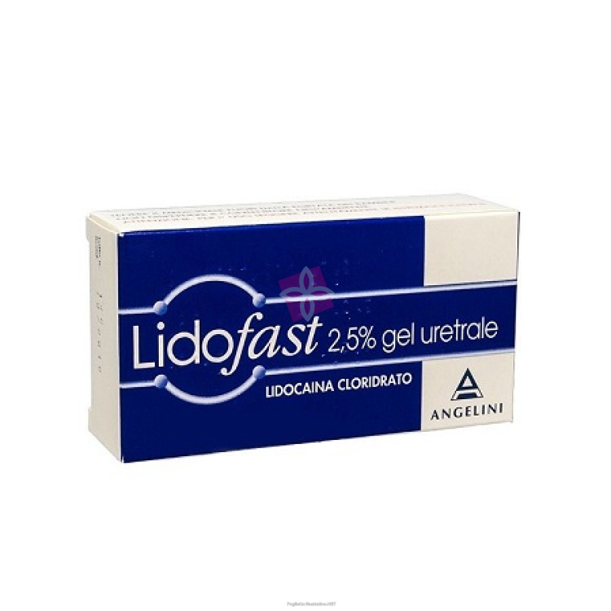 Lidofast 2,5% Gel Uretrale Tubo 15 G