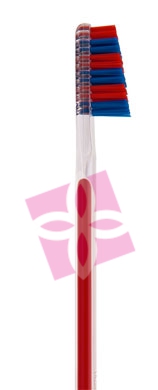 Tau Marin Linea Scalare 33 Testina Grande Spazzolino da Denti Setole Dure